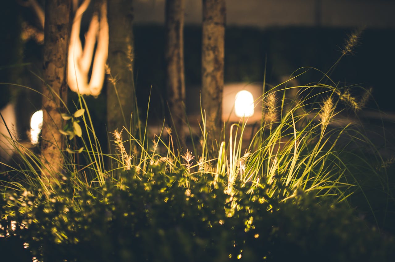 led verlichting